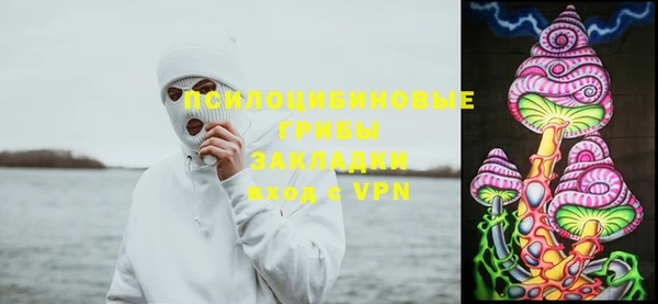 молекула духа Алексеевка