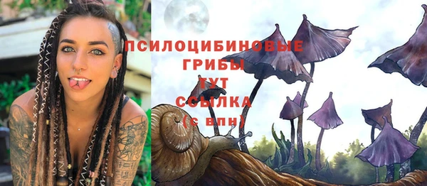 бутират Алзамай