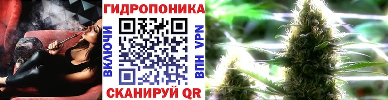 KRAKEN tor  Кызыл  Шишки марихуана индика 